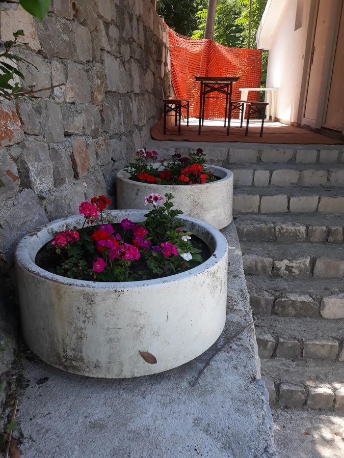 Apartmani Viza Risan Exterior foto